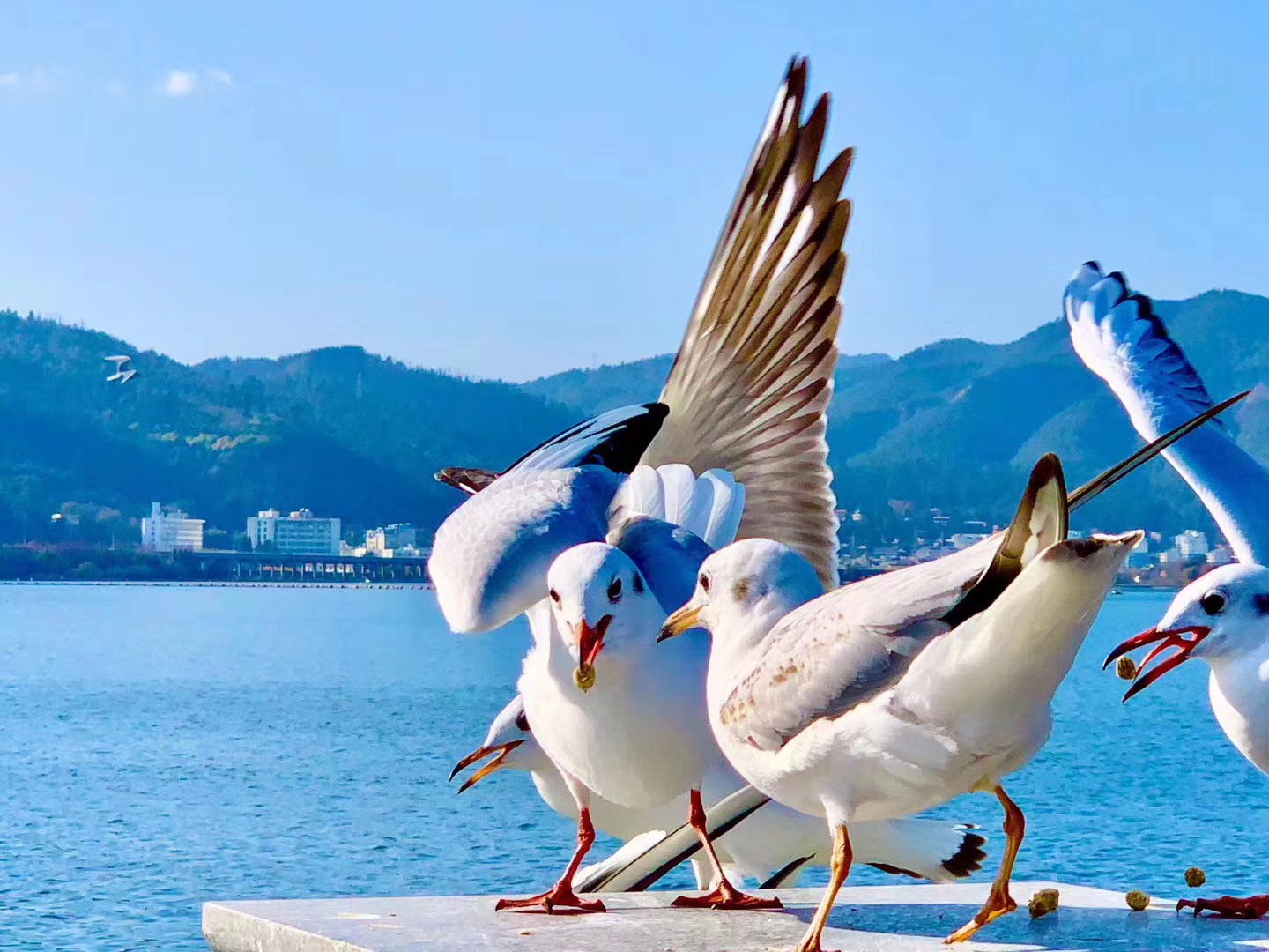2020云南省戶外運(yùn)動(dòng)行業(yè)交流大會(huì)于2020年1月12日在昆明龍騰大酒店隆重舉行