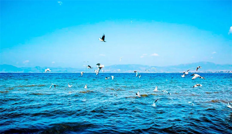 撫仙湖