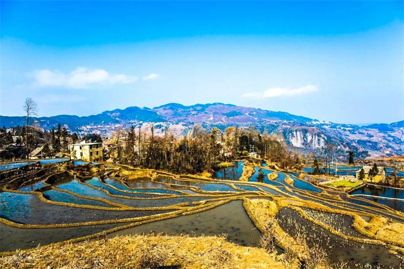 愛(ài)春藍(lán)梯田