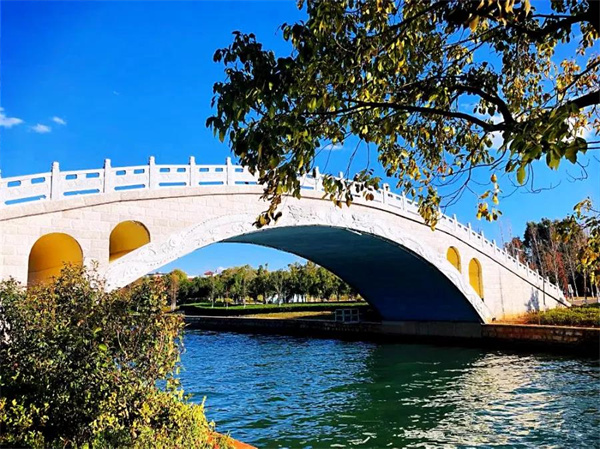 是時候去濕地公園轉(zhuǎn)轉(zhuǎn)了，水杉、白鷺、紅嘴鷗……多彩生物已上線！