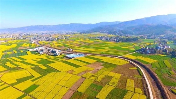 冬未盡，春已來！楚雄早春賞花計(jì)劃可以安排起來了