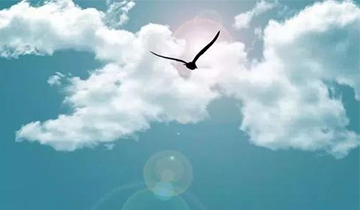 聚集一流的人才，實現(xiàn)人生夢想